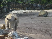 /album/fotogalleri1/img-0557-jpg/