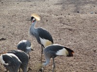 /album/fotogalleri1/img-0562-jpg/