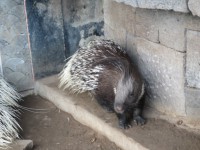 /album/fotogalleri1/img-0604-jpg/